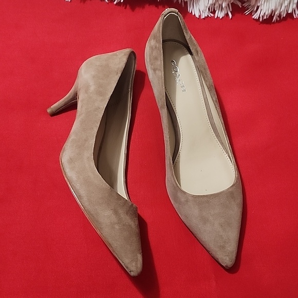 Coach Shoes - Coach Classic Pointed-Toe Suede Pumps